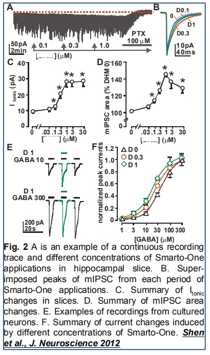 　　图1数据来源:Shen et al., J. Neurosci 2012