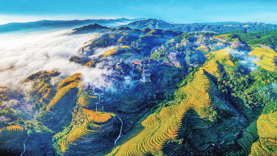 广西龙胜县大寨村梯田景色.韦吉阳摄/光明图片