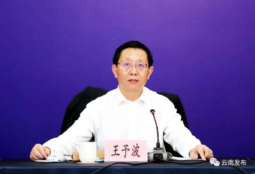王予波再次当选云南省省长_新浪财经_新浪网