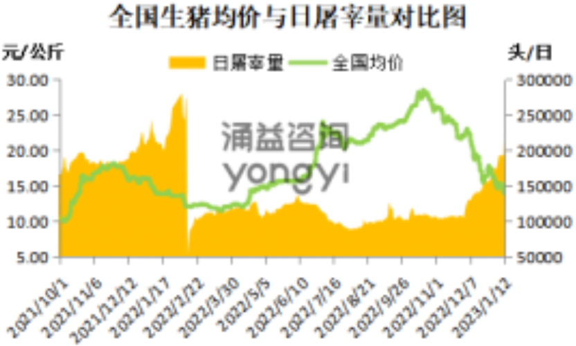 (着手:涌益推敲)