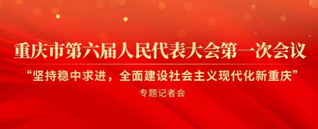 新鲜出炉（2021年重庆市人代会讨论发言）2021年重庆市两会精神解读，(图2)