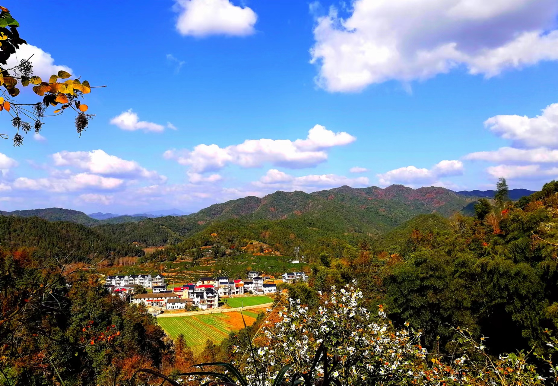 祁门县绿水青山成了村民的"幸福靠山"|林业_新浪财经_新浪网