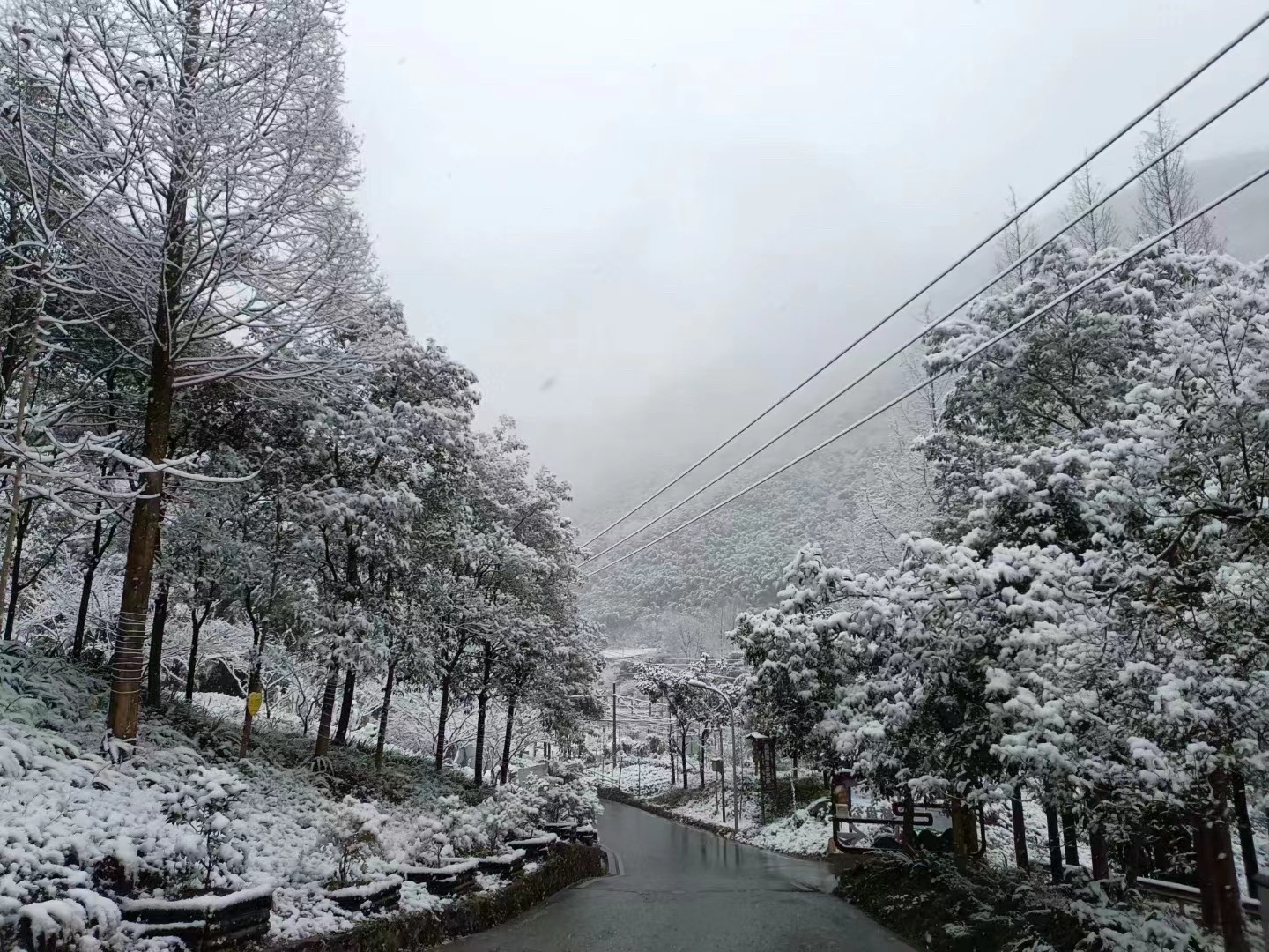 ▲道路两旁树木挂满了积雪