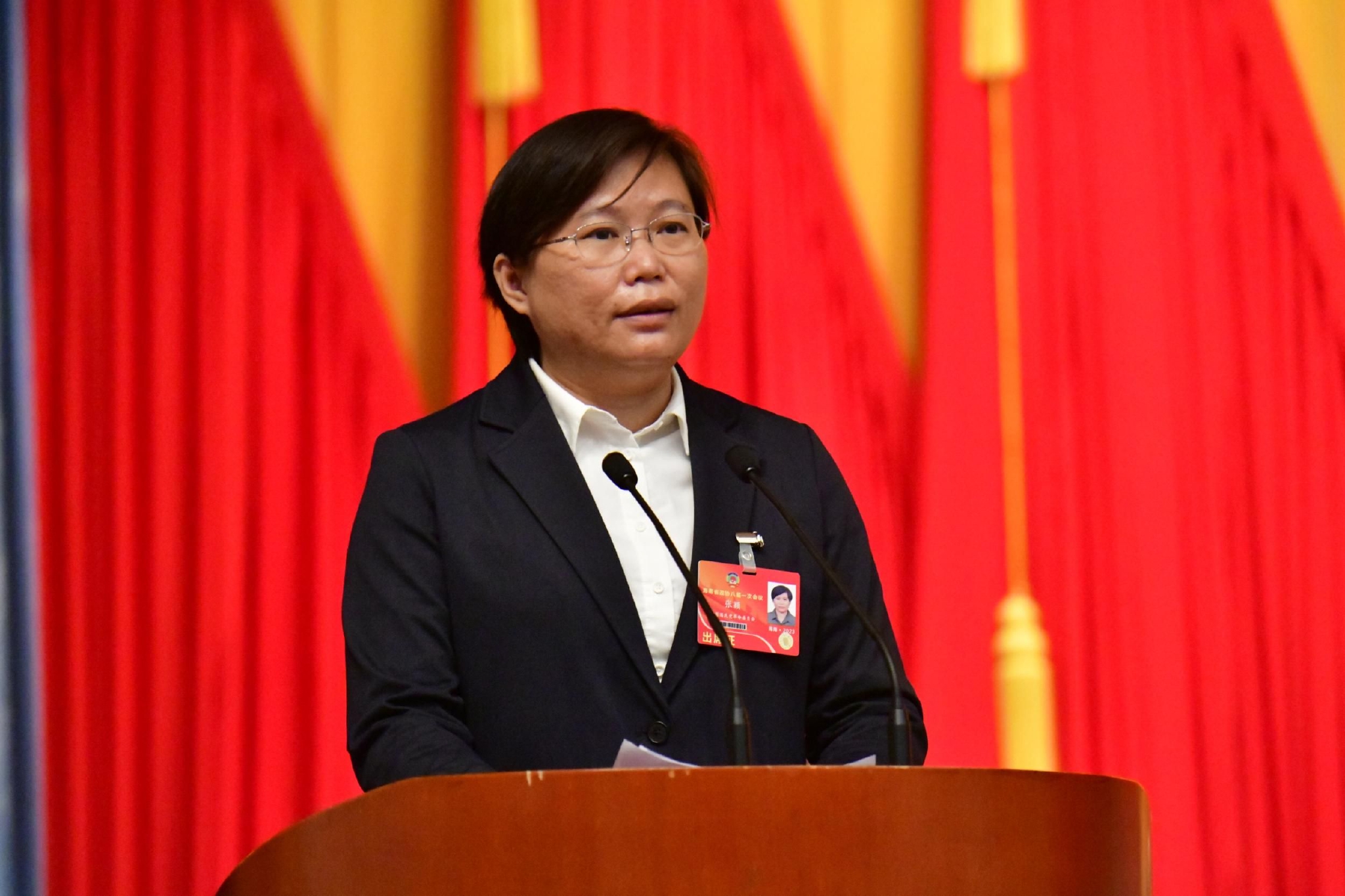 张颖委员发言.记者 陈卫东摄