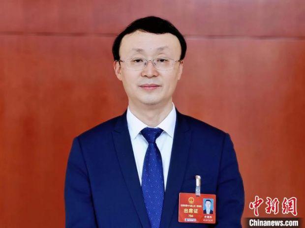 天津市人大代表,武清区委副书记,区长许颖悟 周亚强 摄