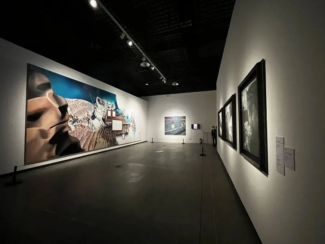 新疆国际艺术双年展开幕,260件作品讲述"和美共生"丨文化周末|新疆