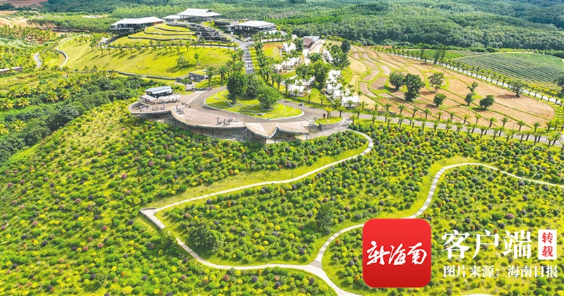 位于儋州南丰镇的喜禾热带水果主题公园.海南日报记者 陈元才 摄