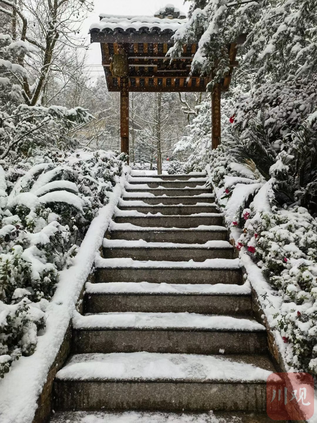 四川多地加入"下雪群聊"|南充市_新浪财经_新浪网