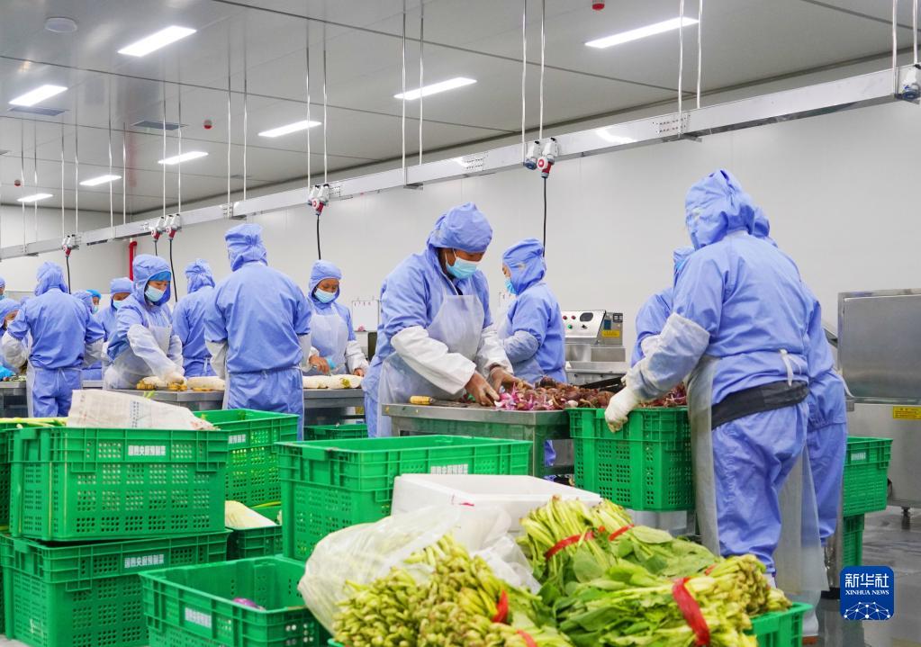 河北阜平新春图景跑好接力赛交出新答卷