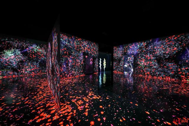 ARTE MUSEUM中国内地首馆落馆成都：城市文化与数字艺术的共鸣|成都市_新浪财经_新浪网