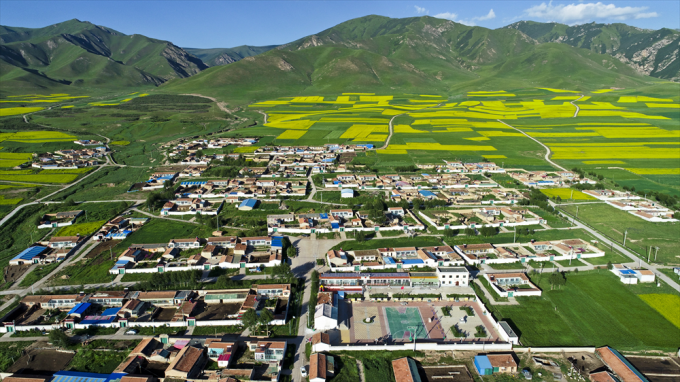 这是青海省海北藏族自治州海晏县金滩乡东达村夏日景色(无人机照片