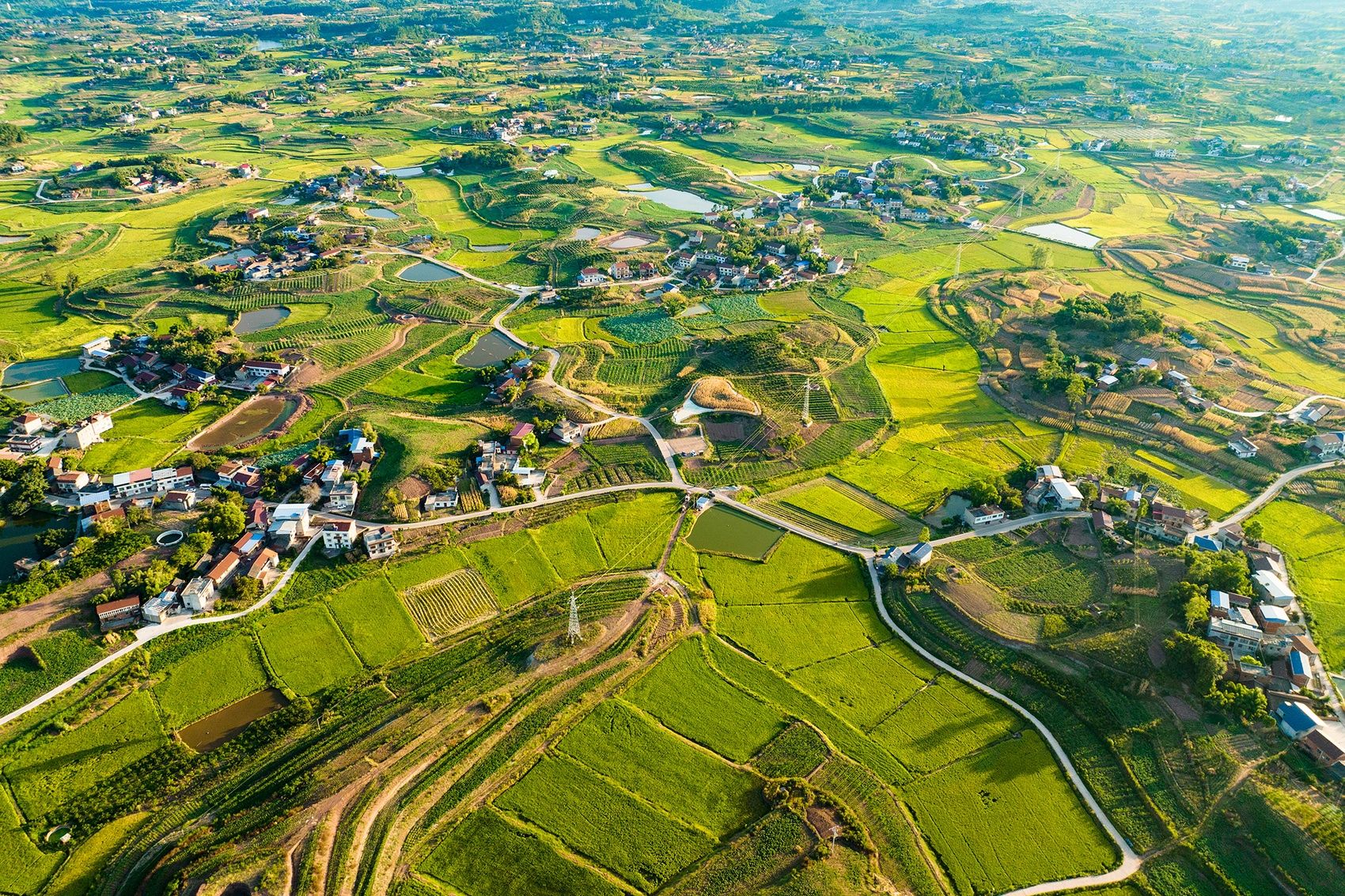 资中县"五良"融合宜机化改造样板区 唐广 摄