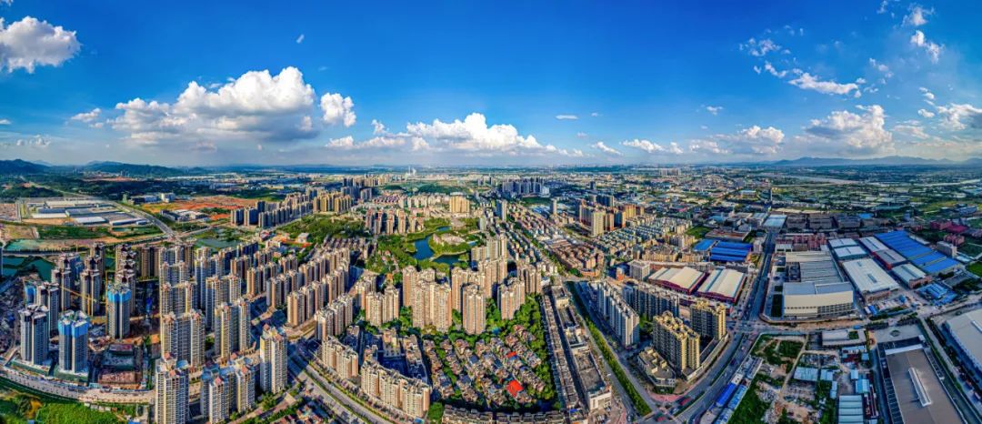 肇庆高新区。王振宇 摄