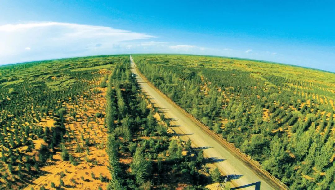 陕西榆林毛乌素沙地治理成效显著