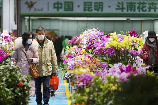 近日，市民在昆明市斗南花市选购花卉。新华社发（郝亚鑫摄）