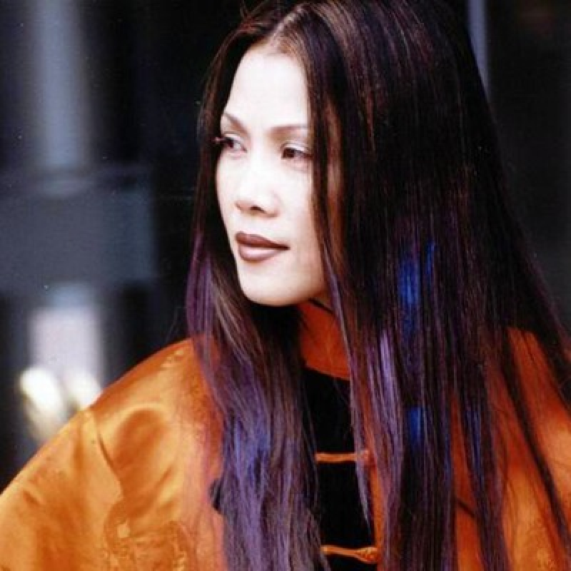 年轻时候的田震