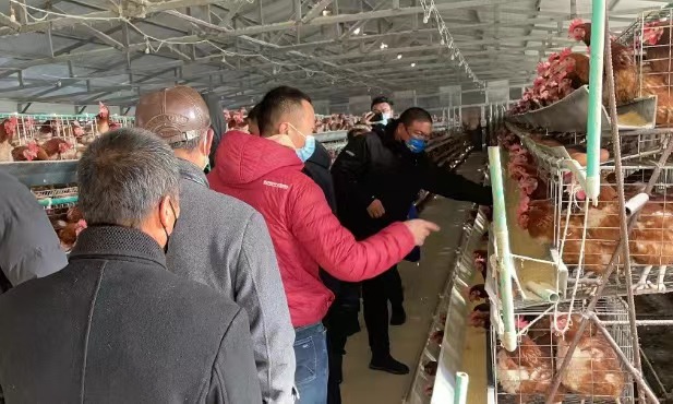 嫩江举办高素质农民培训班 课程涵盖种养殖、电商多领域