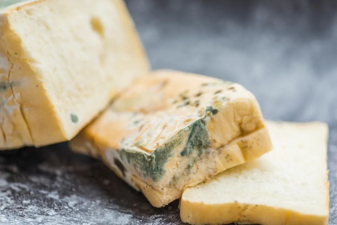 发霉变质的面包.图/图虫创意