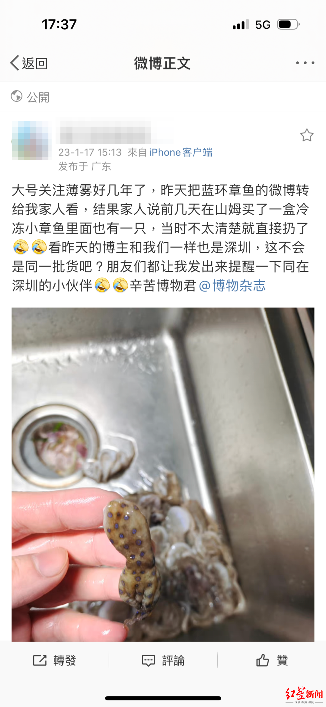 ↑深圳网友发文称在山姆上购买的冷冻小章鱼里疑似有“蓝环章鱼”