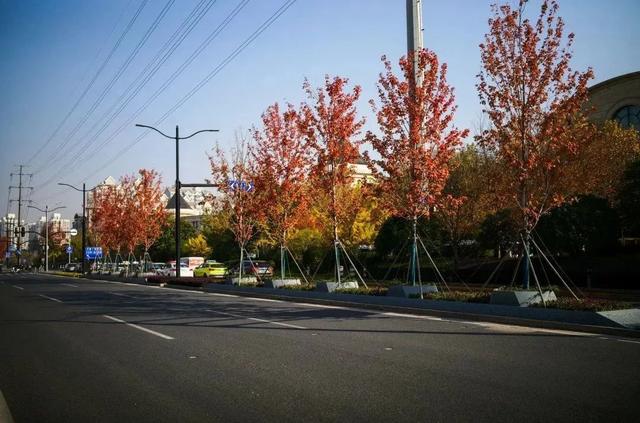 颜值高,设施全……大渡河路街区完成全面升级