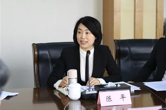 陈平曾任武汉市汉南区委副书记,副区长,区长;武汉经济技术开发区工委