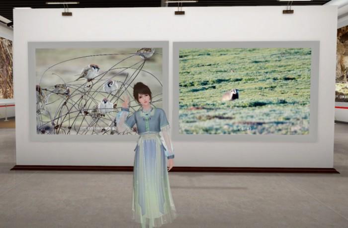 2022 生态守护映像 沉浸式公益生态摄影展