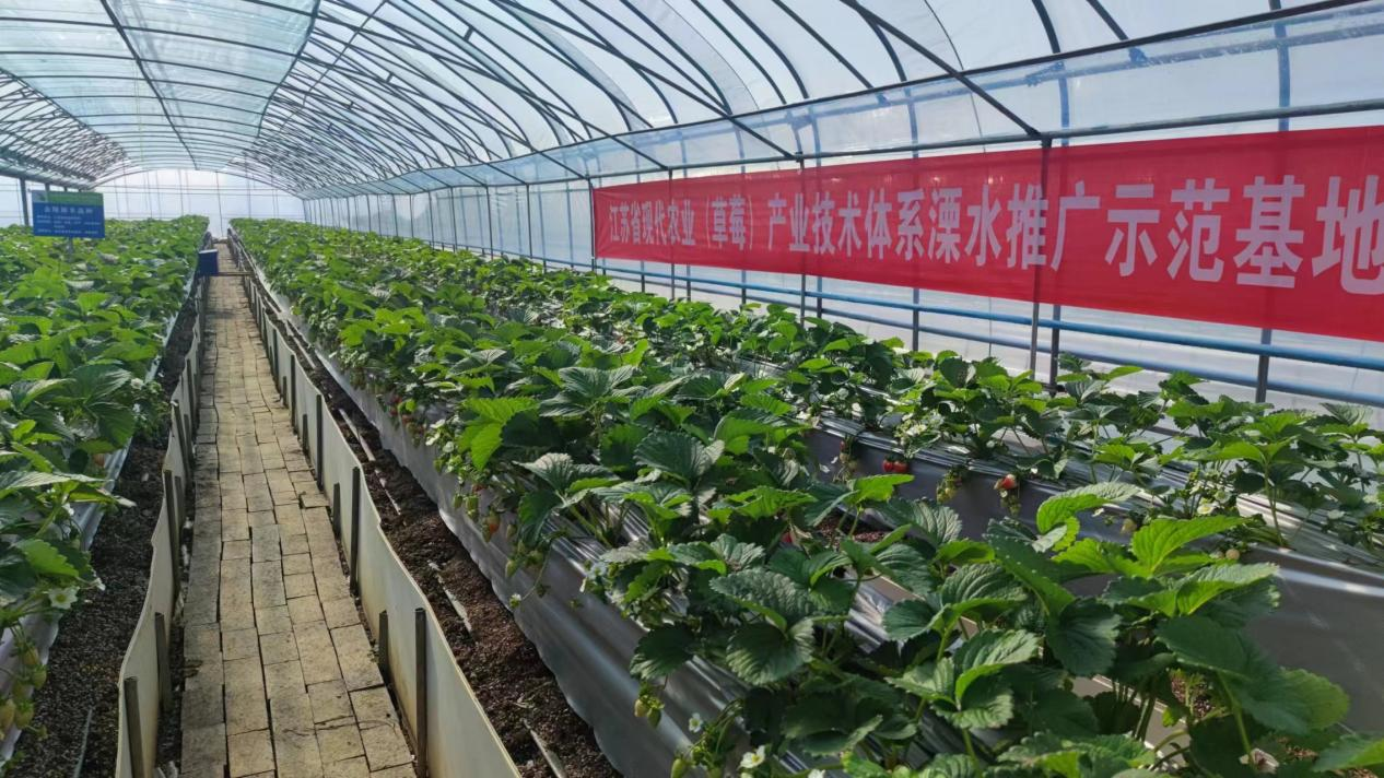 图为:江苏(大丰)现代农业(蔬菜)科技综合示范基地