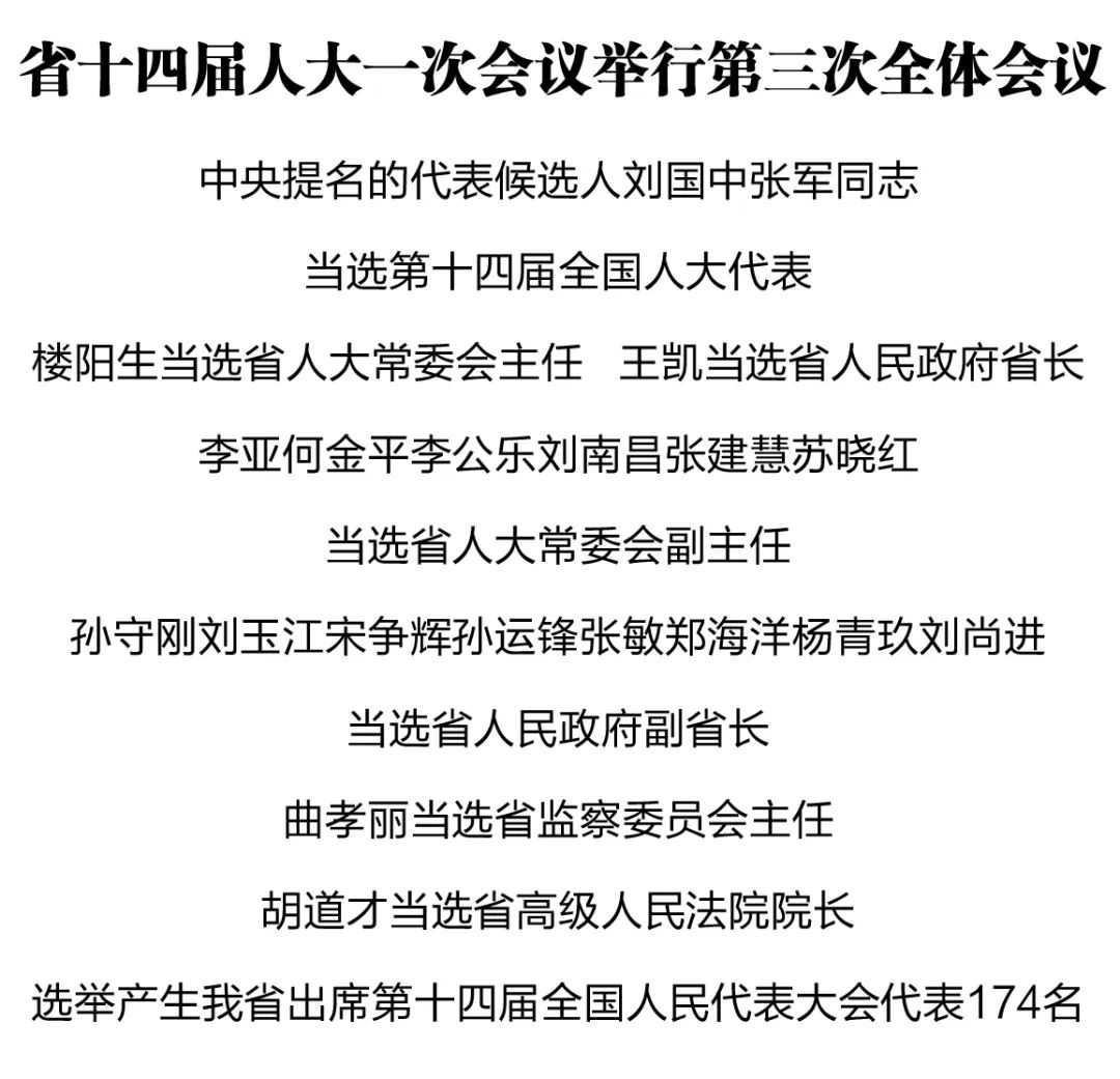 楼阳生当选河南省人大常委会主任 王凯当选河南省省长