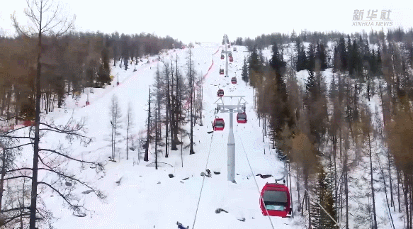 截自新华社资料视频