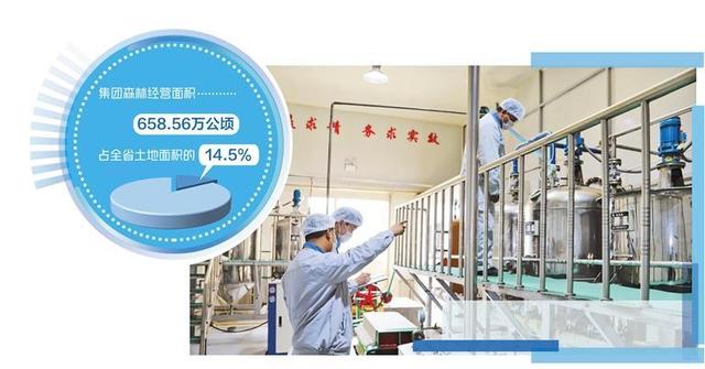 龙江森工集团桦南林业局有限公司生产车间内，工人在加工紫苏籽油。（资料图片）