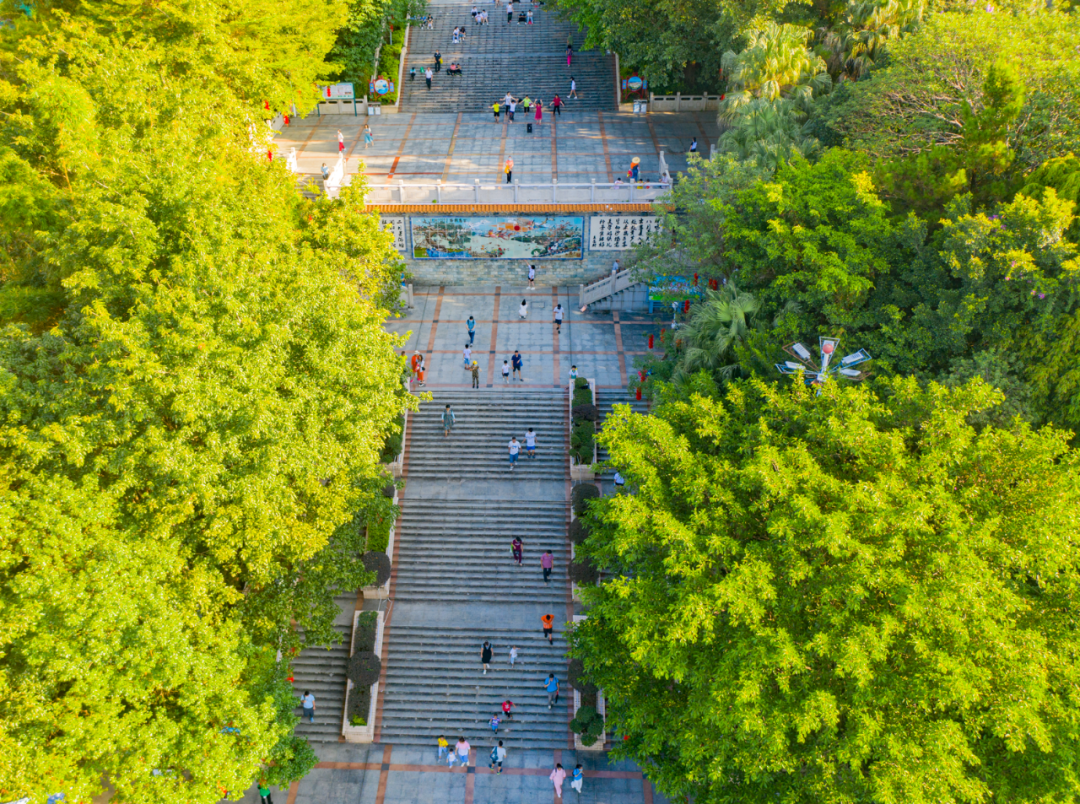 2022年10月4日,市民在清新区太和镇百步梯游玩.