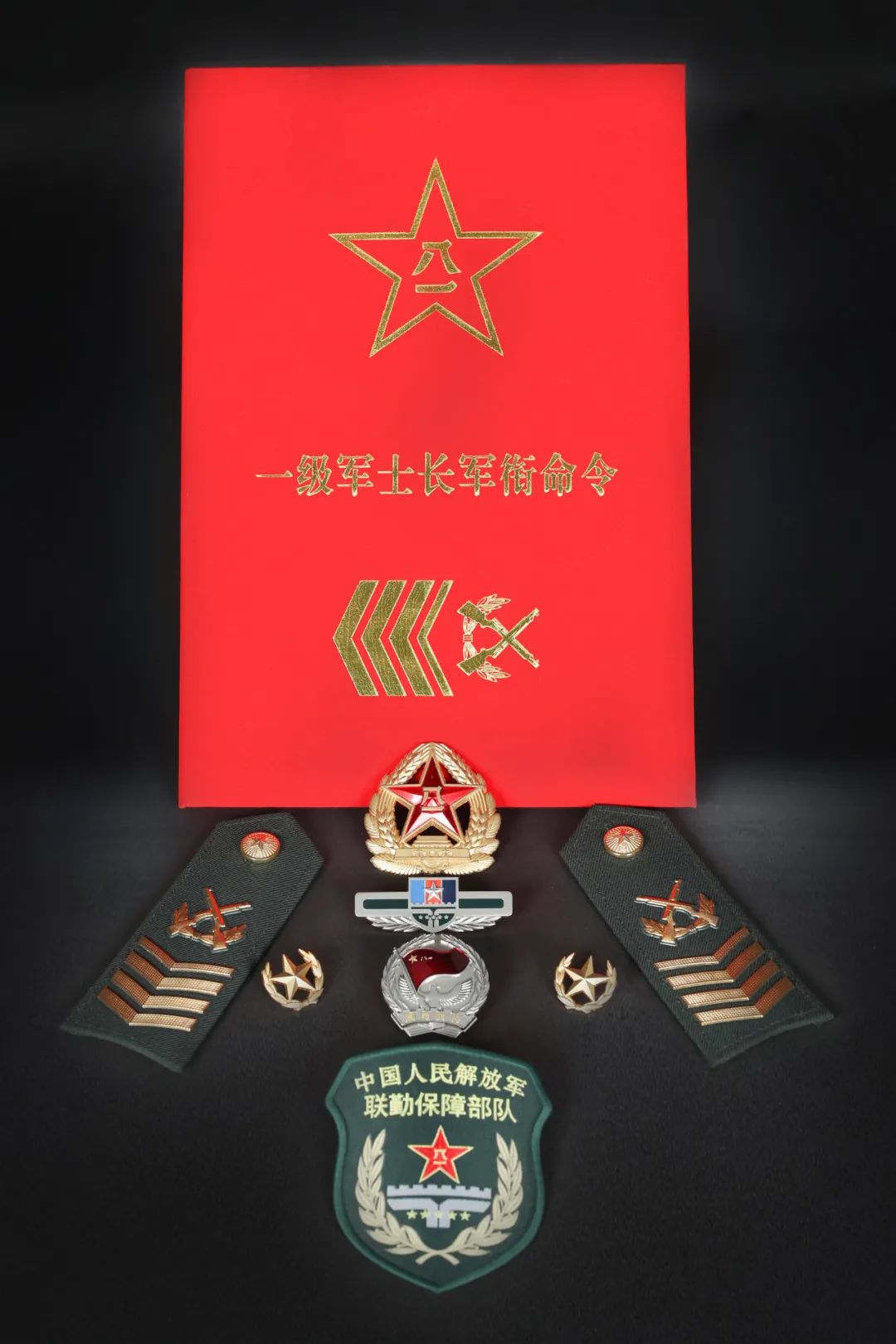 联勤保障部队新晋升一级,二级军士长精彩亮相!