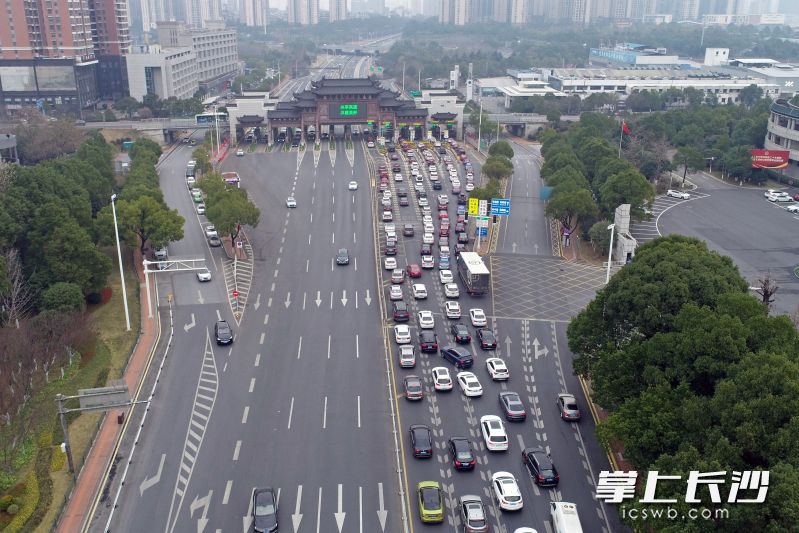 组图丨长沙收费站迎来出城返乡高峰