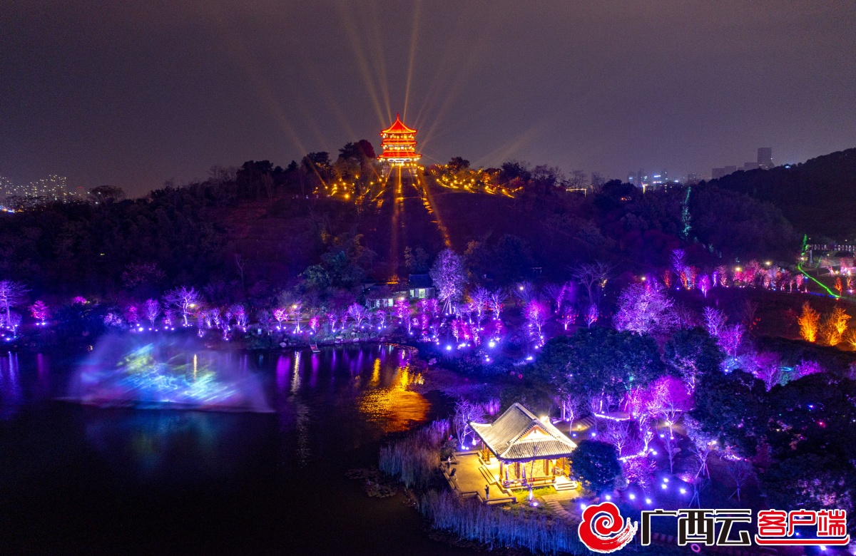 今年春节夜间到青秀山赏樱 享受一场视觉的饕餮盛宴|赏樱_新浪财经