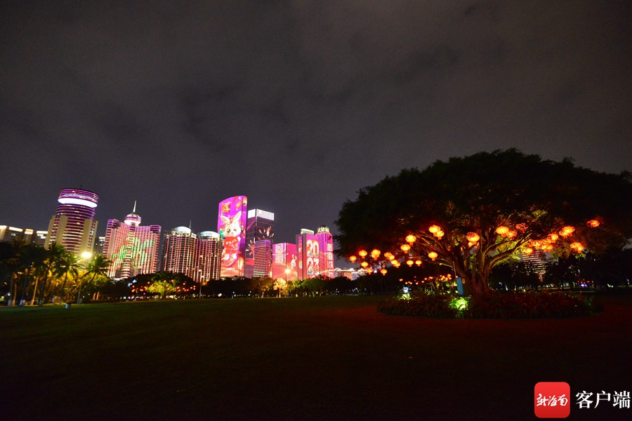 原创组图丨春节夜海口 处处洋溢浓浓的喜庆氛围|万绿园_新浪财经_新浪