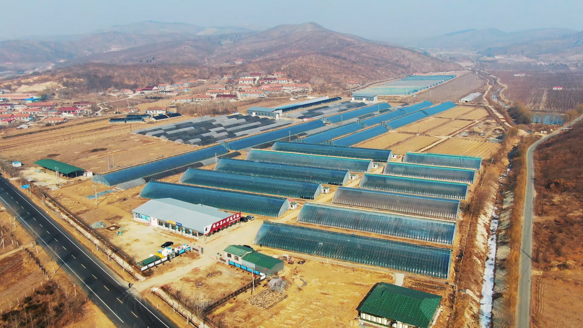 赤榆村圣野浆果专业合作社的草莓大棚.受访者供图