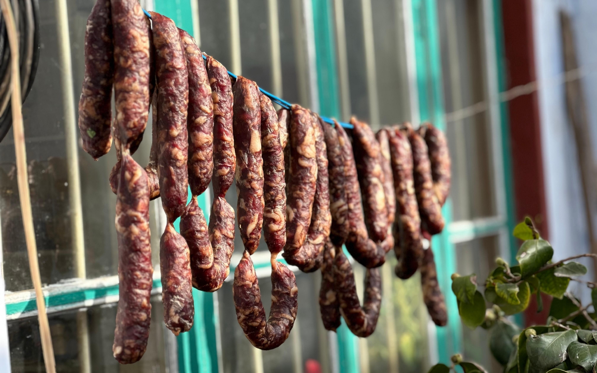 小周家晾晒的香肠.  新京报记者 王子扬 摄