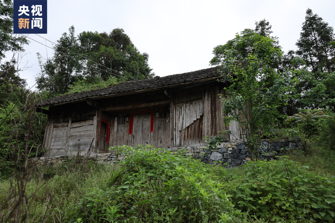 △刘秀祥和母亲曾住过的木屋