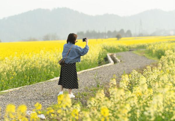 2019年3月19日，游人在建德下涯镇江畔的油菜花海中游玩。新华社记者 翁忻旸 摄