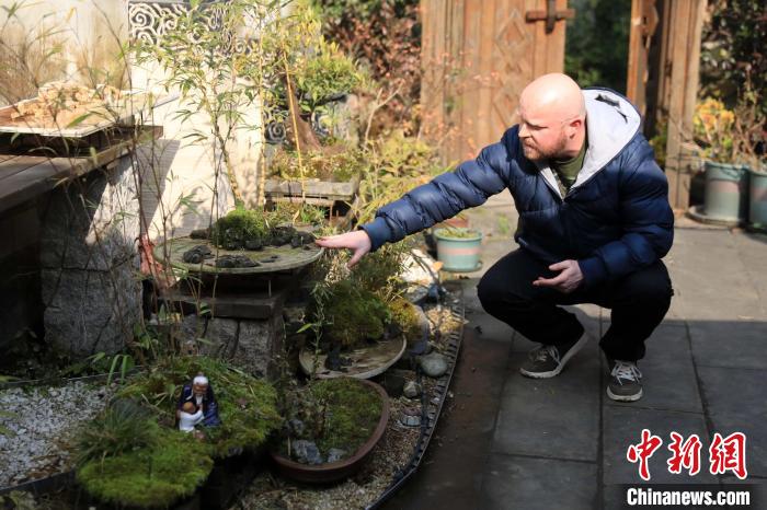 　　查德的小院摆满盆景。　王磊 摄