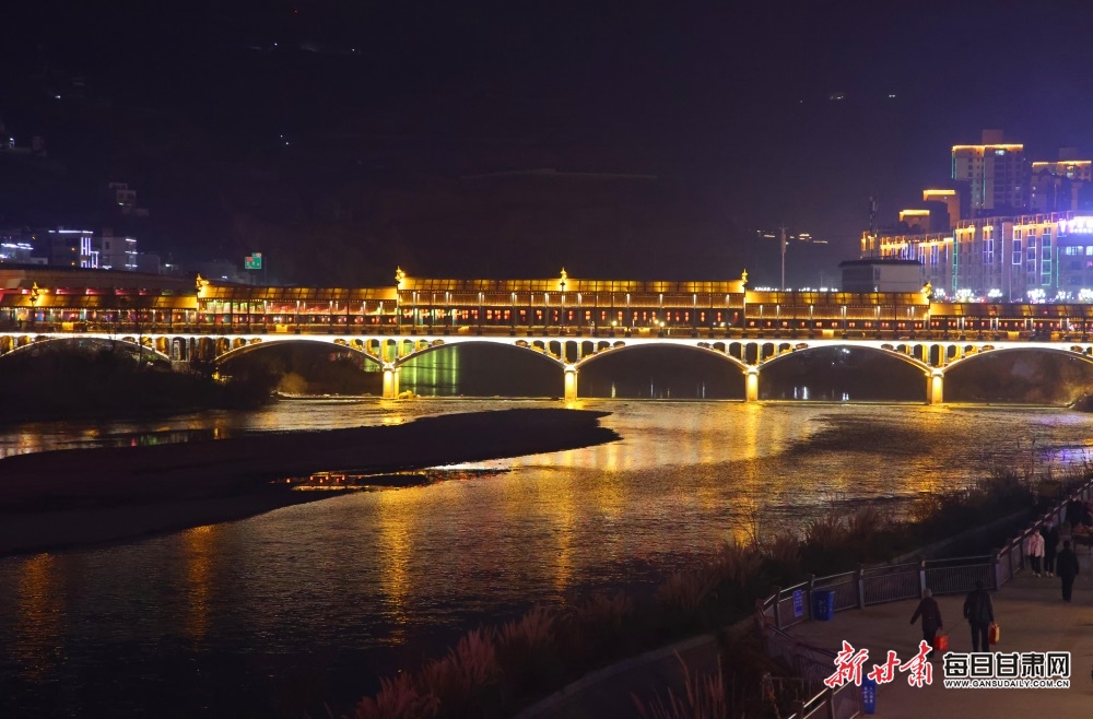 陇南市武都区夜景图片图片