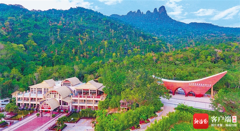 春节假期海南康养游火热,逐渐成为旅游市场新风向|海南省_新浪财经_新