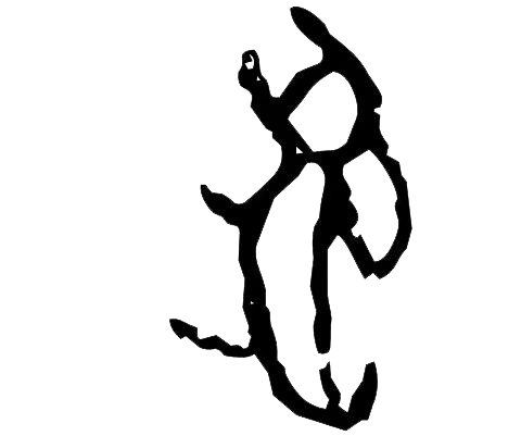 图为汉字主题书房内展出的甲骨文书写的"兔"字.