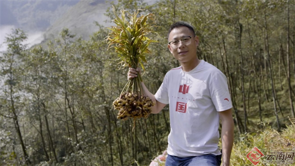 电商新农人胡超，一年有200多天奔波在云南省各产地，寻找新鲜货源。