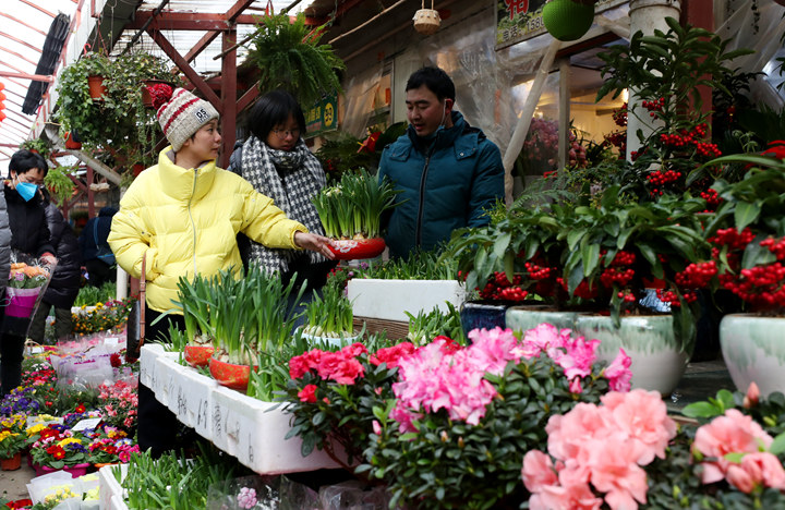 1月18日，市民在上海徐汇区的一家花卉市场内选购年宵花卉。新华社记者 方喆 摄