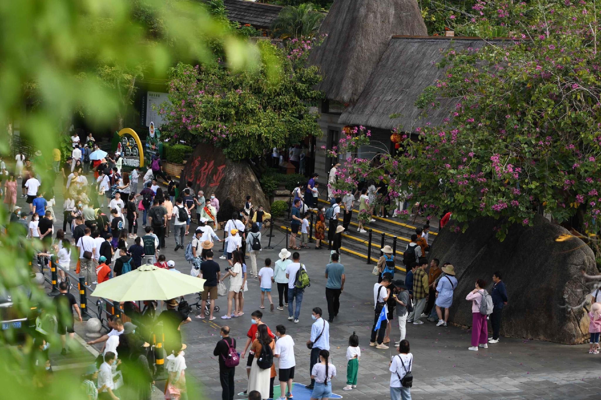 游客在亚龙湾热带天堂森林公园游玩.记者 沙晓峰 摄