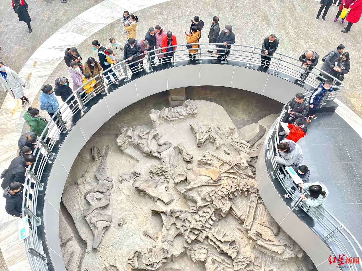 春节期间，自贡恐龙博物馆接待游客16.9万人次。馆方供图