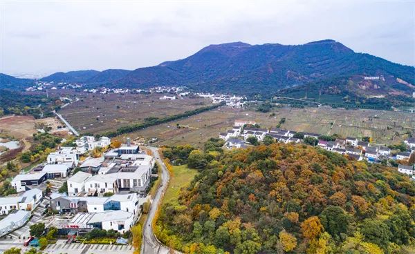 全国乡村旅游精品线路之江苏篇——树山乡村微旅行之猛将迎新之旅|猛将_新浪财经_新浪网