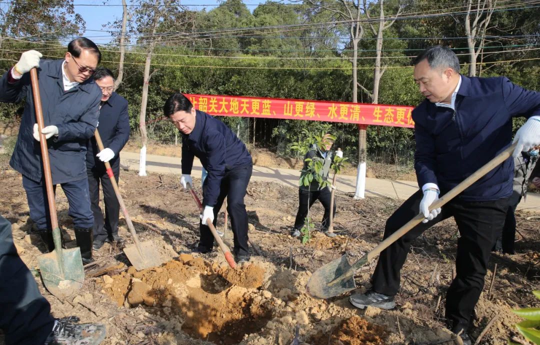 新春植树活动现场。