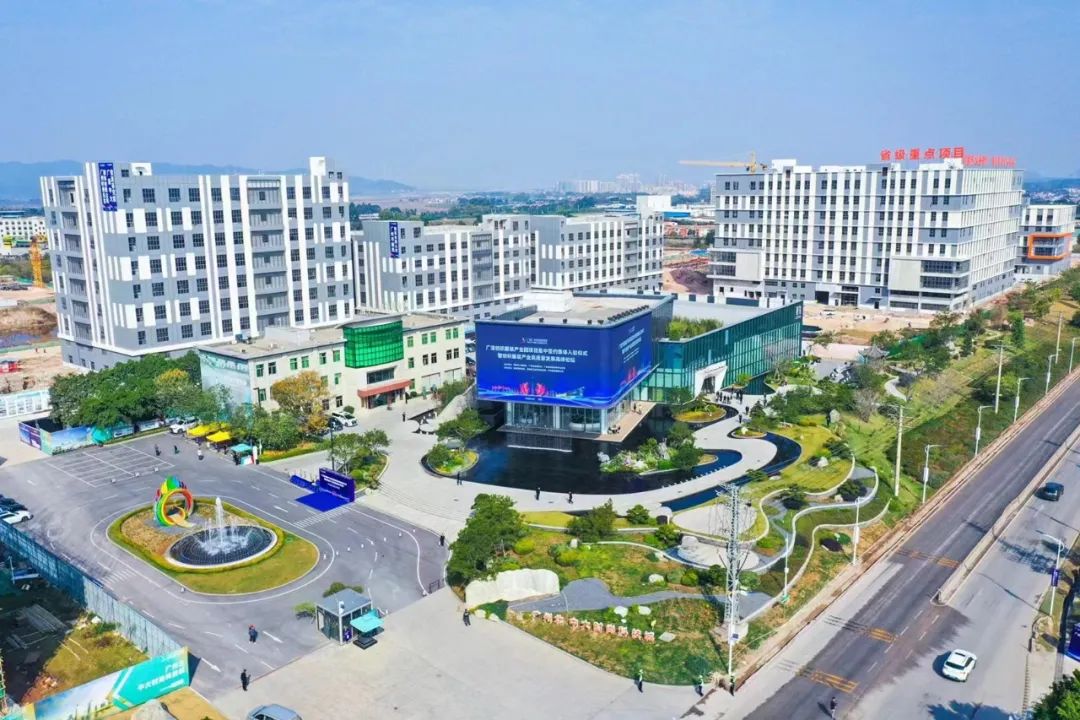 清远使出五大实招,力推高质量发展|清远市_新浪财经_新浪网